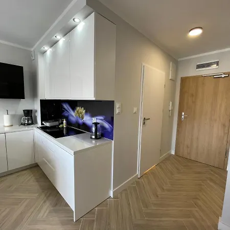Lägenhet Baltic Style - Free Swimming Pool, Saunas & Fitness - Kasprowicza 20 *
